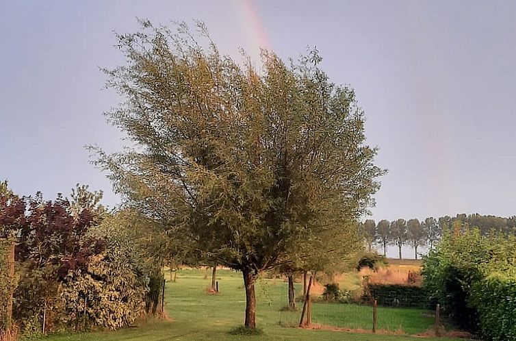 Huisje in Stavenisse