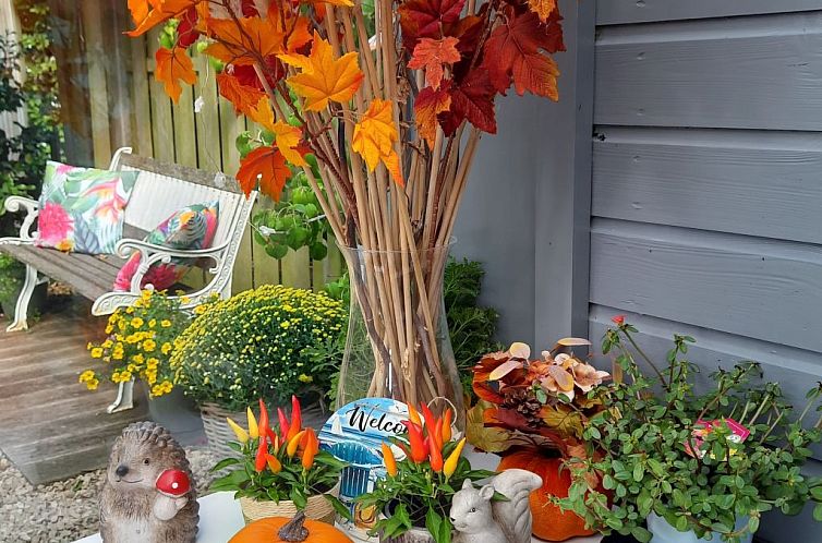 Vakantiehuis Schöne Familien-Ferienwohnung in Zeeland