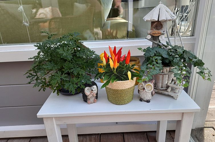 Vakantiehuis Schöne Familien-Ferienwohnung in Zeeland