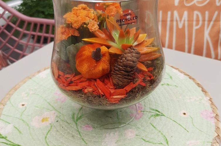 Vakantiehuis Schöne Familien-Ferienwohnung in Zeeland