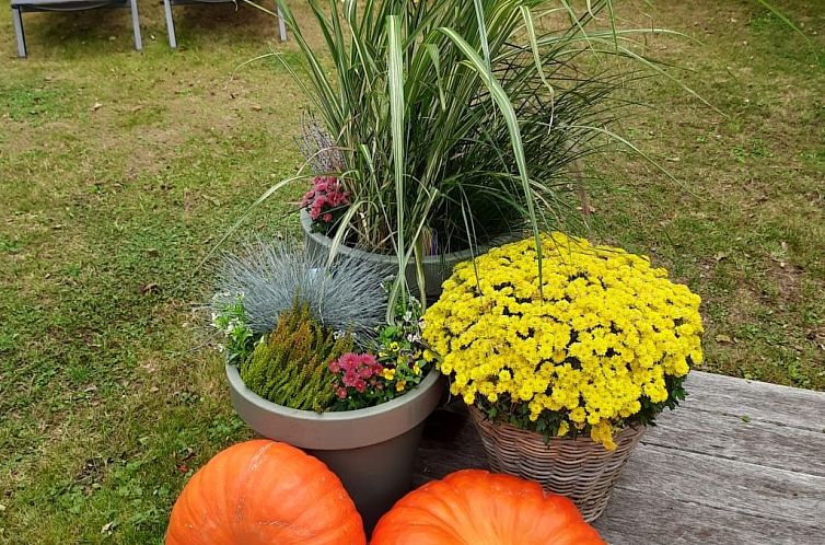 Vakantiehuis Schöne Familien-Ferienwohnung in Zeeland
