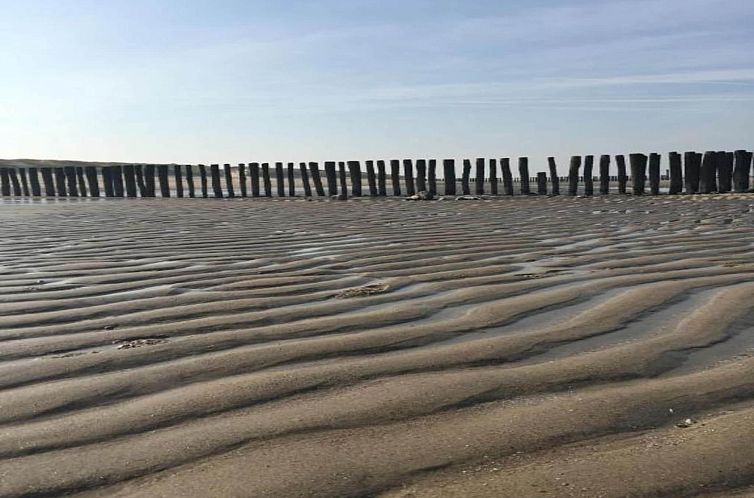 Noordzee Résidence Dishoek 4