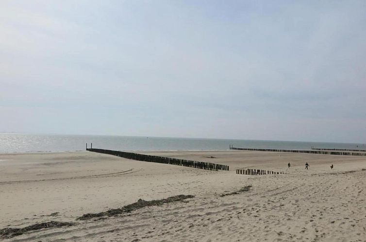 Noordzee Résidence Dishoek 8