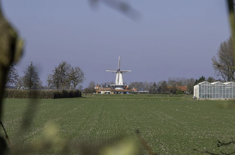 Appartement Charming house Koudekerke