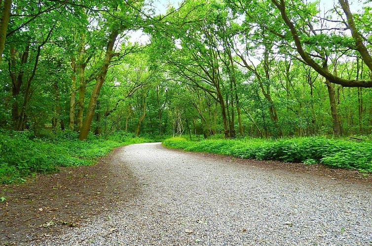 VZ073 Vakantiebungalow Oostkapelle