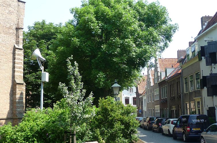 Vakantiehuis "Zeezicht" mit einzigartigem Meerblick