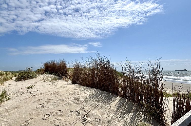 Appartement Appartement "Frühstück bei Carins"