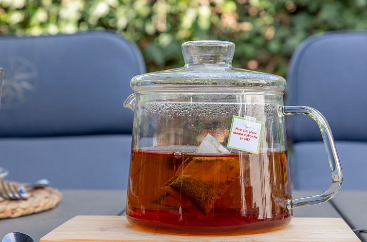 Vakantiehuis Beach House de Zandput