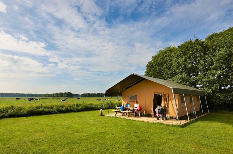 Guest house 620822 - Tent house Walcheren - Safaritent