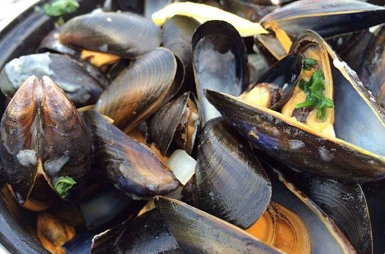 VZ825 Chalet in Veere