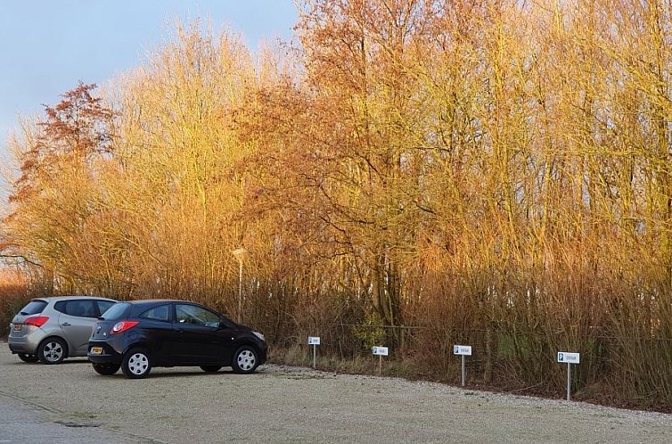 DE ZON IN STEE AAN ZEE, vlak bij Zee.