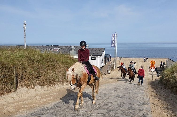 DE ZON IN STEE AAN ZEE, vlak bij Zee.