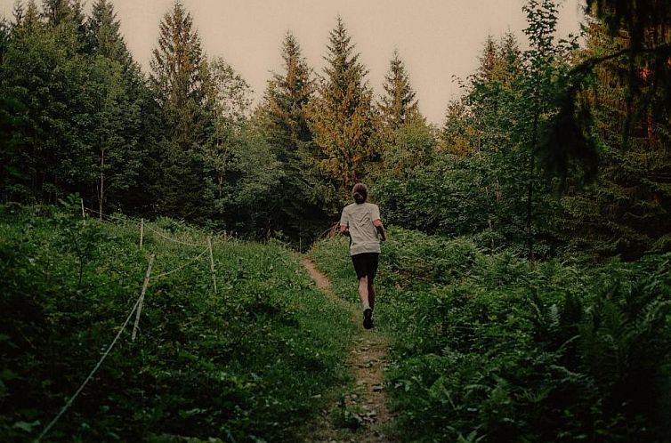 Gasthof Hirschen Schwarzenberg