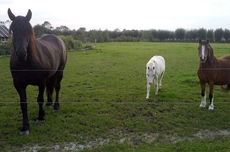 Vakantiehuisje in Ritthem