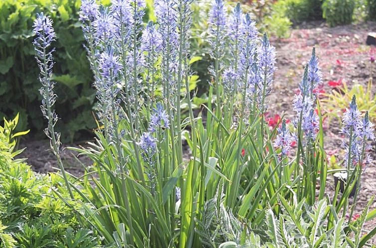 Vakantiehuisje in Ritthem