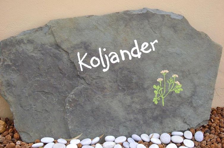 Die Ou Huis Accommodation