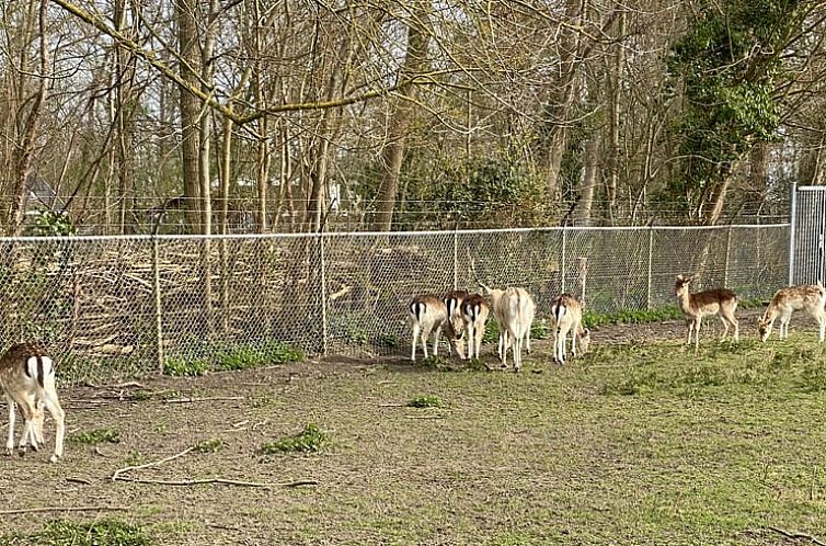 Huisje in Koudekerke (omgeving Dishoek)