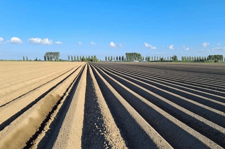 Vakantiehuis in Schoondijke