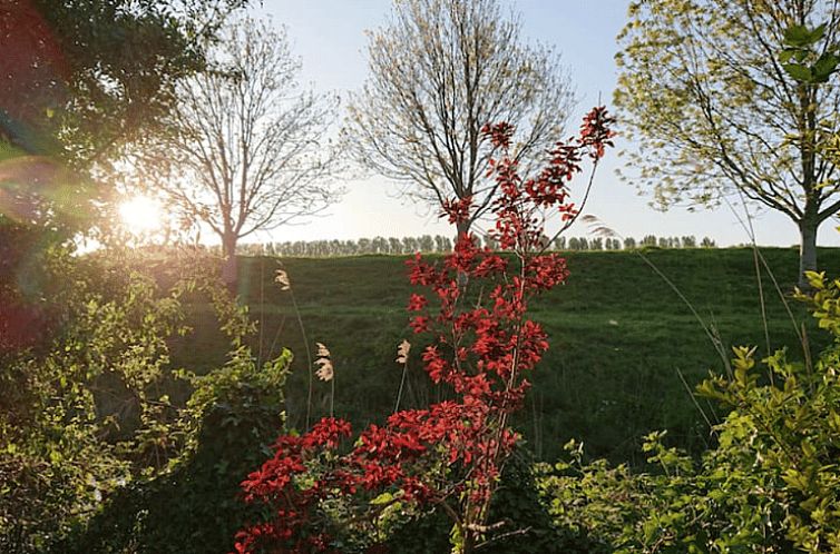 Vakantiehuis in Schoondijke