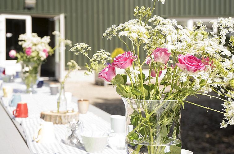 VZ893 Groepsaccommodatie in Hulst