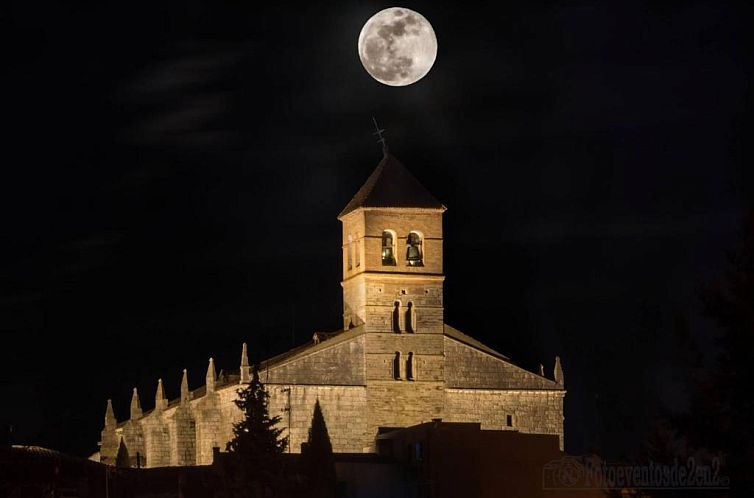 Hotel Pago del Olivo