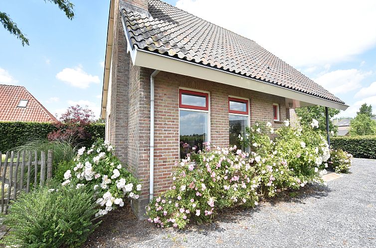 De Biezenknop