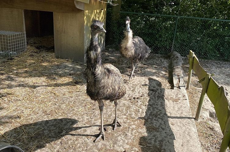 VZ850 Vakantiechalet Ossenisse