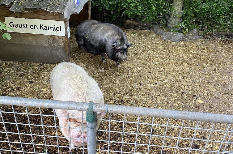 VZ850 Vakantiechalet Ossenisse