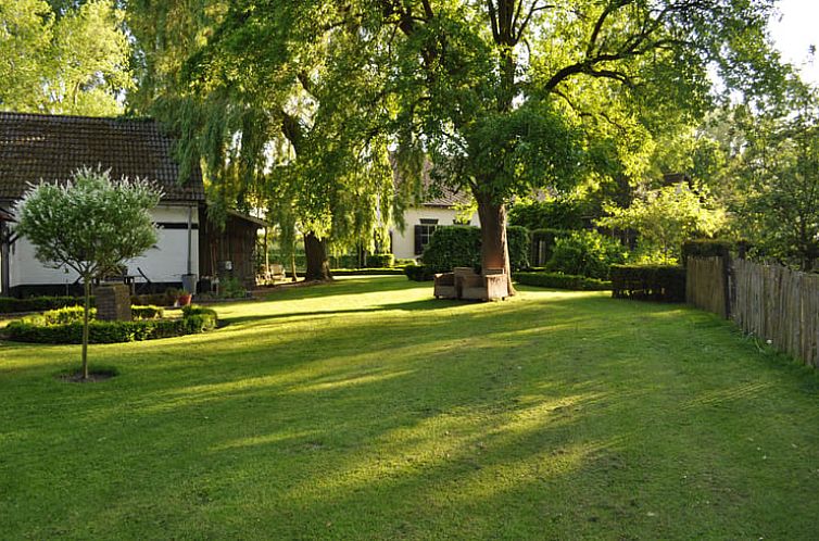 Ruime tuin bij Vakantiehuis in Hoek, Zeeuws-Vlaanderen met groene omgeving en bomen.