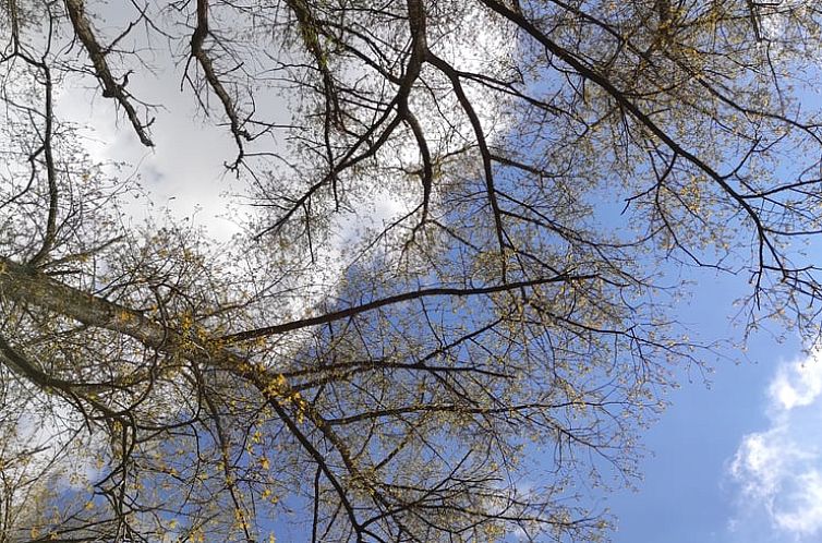 Vakantiehuis in Hoek