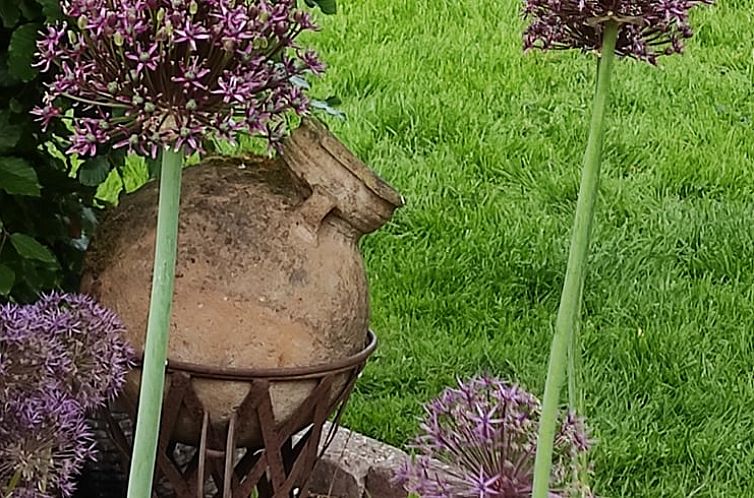 Vakantiehuis in Hoek