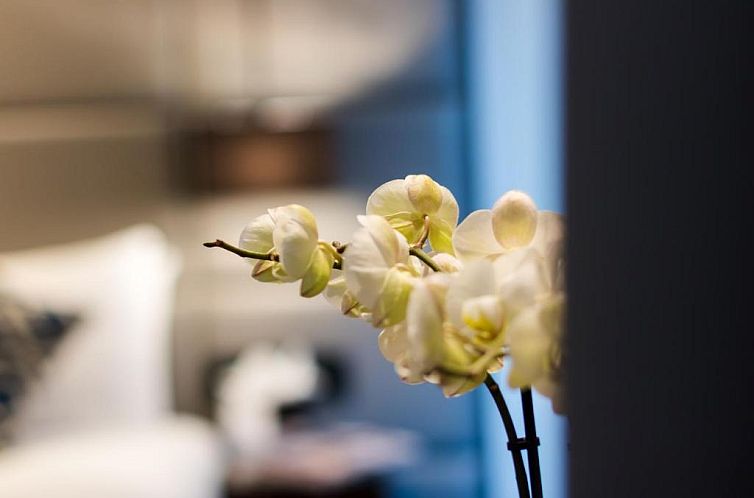 The Chilworth London Paddington