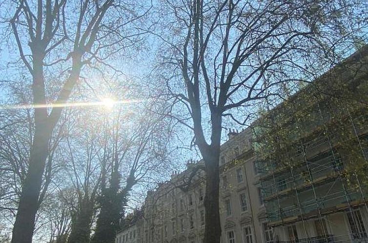 Belvedere Hotel