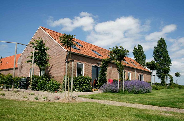 Vakantiehuis ZE524 in Kattendijke, Zuid-Beveland met kleurrijke tuin en blauwe lucht.