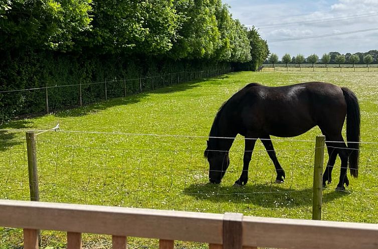 Huisje in Kwadendamme