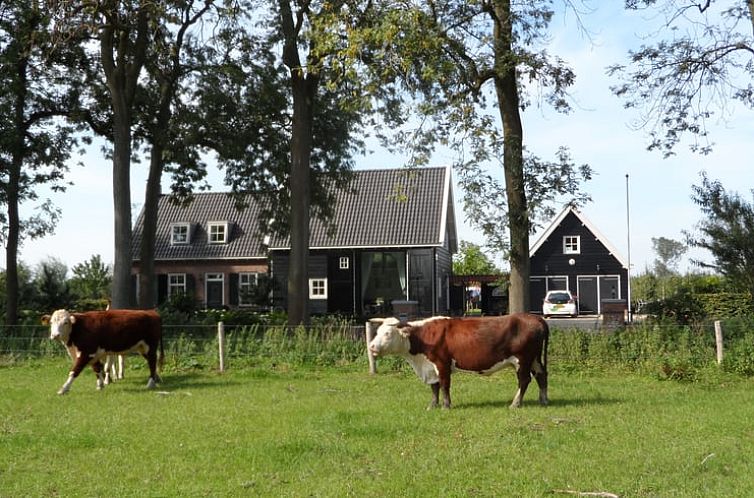 Vakantiehuisje in Kwadendamme