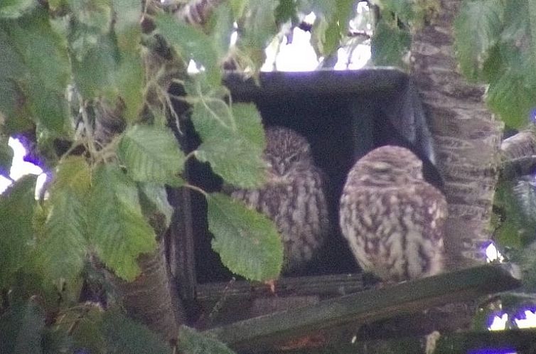 Vakantiehuisje in Kwadendamme