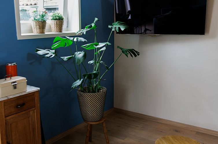 Vakantiehuis in Lewedorp