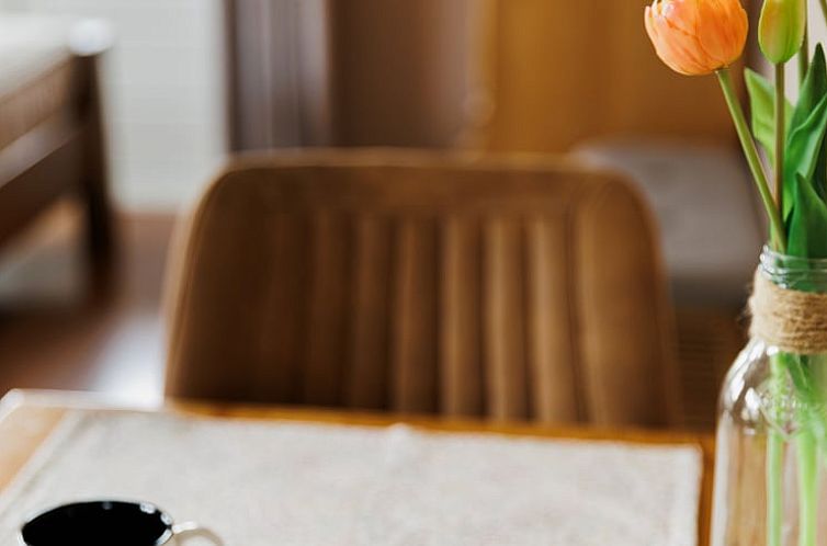 Vakantiehuisje in Lewedorp