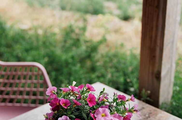 Vakantiehuisje in Lewedorp