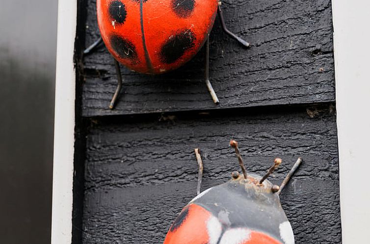 Vakantiehuisje in Lewedorp