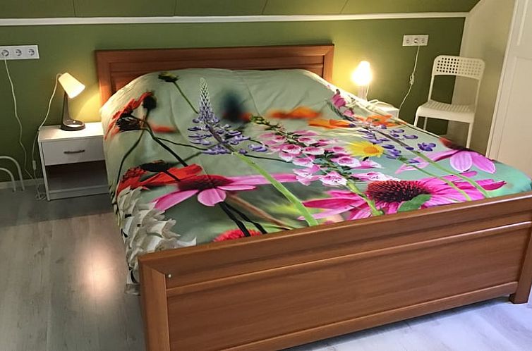 Vakantiehuis in Lewedorp