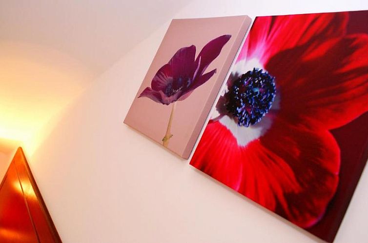 The Hindes Hotel - B&B