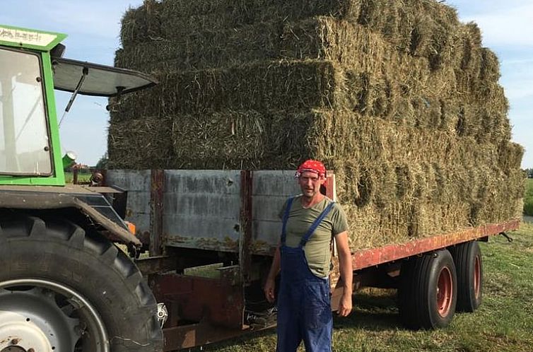 Vakantiehuis in Stolwijk