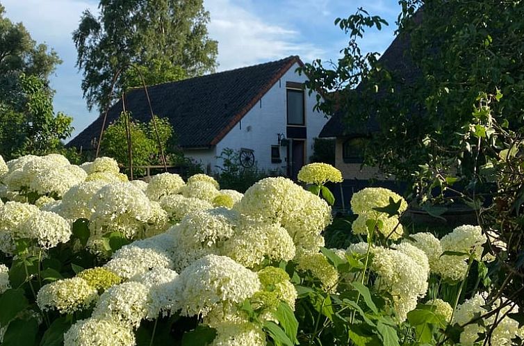 Vakantiehuis in Stolwijk