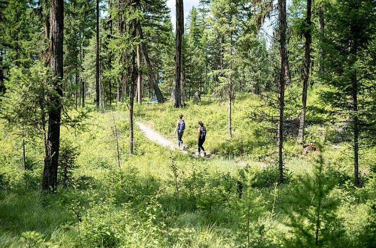 Under Canvas Glacier