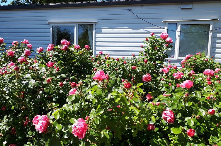 Chalet Sunrise met prive strandtuin