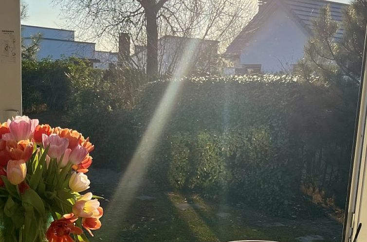 Strandhuis Over De Dam