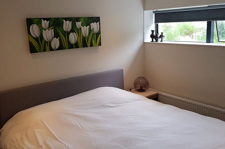 Vakantiehuis in Ouddorp