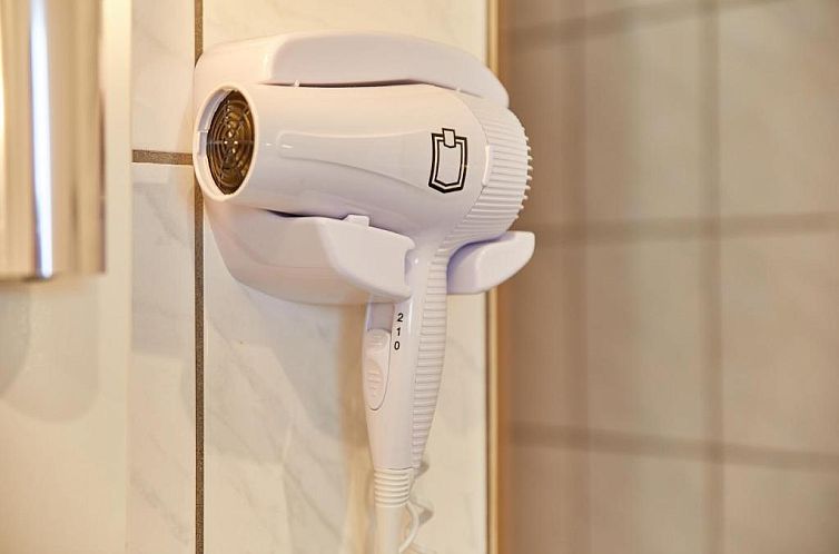 Hotel zum dicken Baum